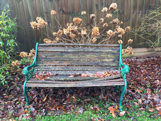 iron bench in a winter garden