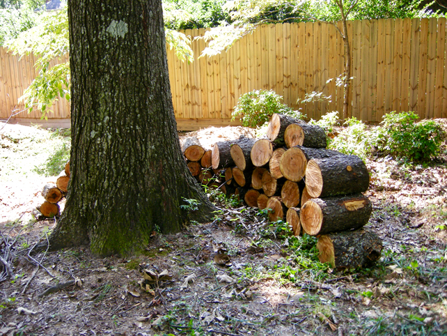 wood from Wild Cherry tree cut and stacked