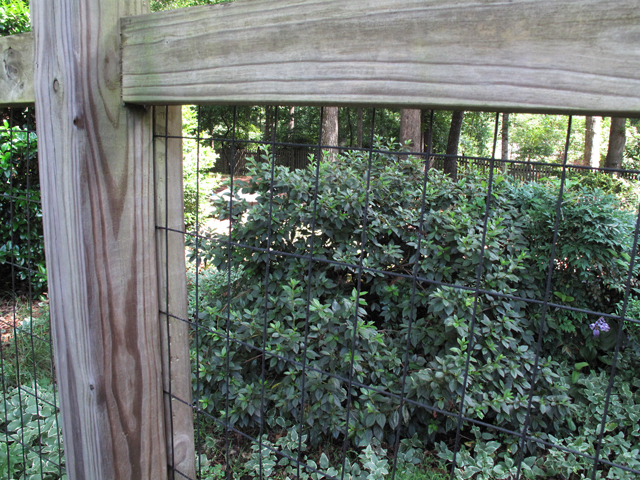 A closeup of the wire mesh the covers the inside fence frame to keep deer from entering the yard