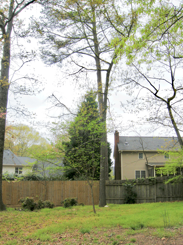 A view of the back of two subdivision homes. Two fences meet at the back of the home. 
