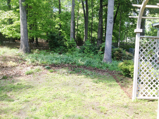 Back yard border between two homes. Heavily wooded area just beyond property line