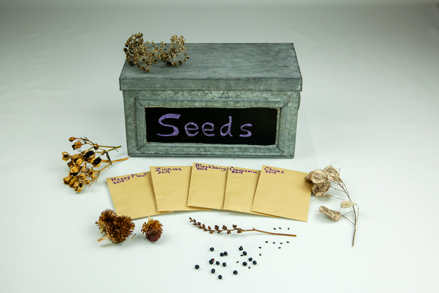 Small, grey, metal box sets behind seed packets prepared for storage