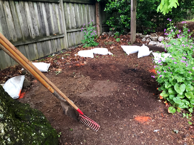 Raking soil from the area where flagstone will be laid