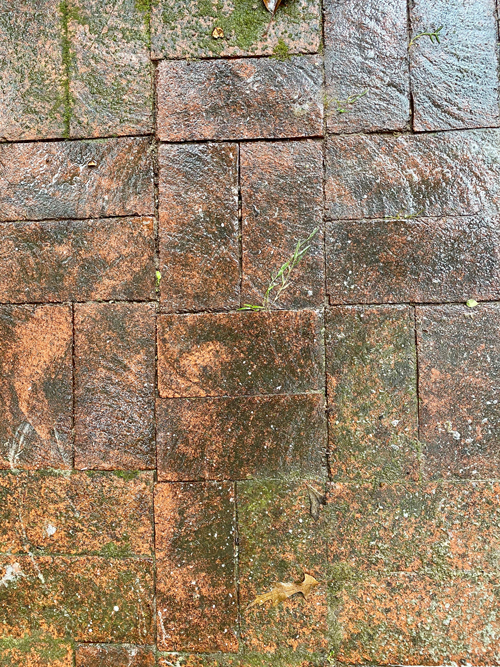 closeup of dark, weathered brick patio 