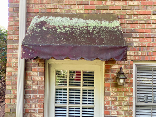 lichen is removed on edges of awning