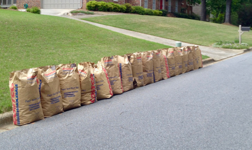 leaves in brown bags at curb