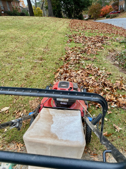 mower_mulching_leaves