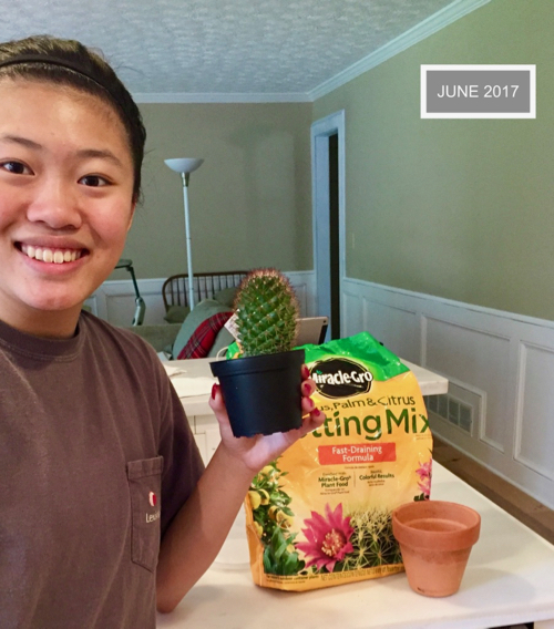 smiling girl holds a small cactus