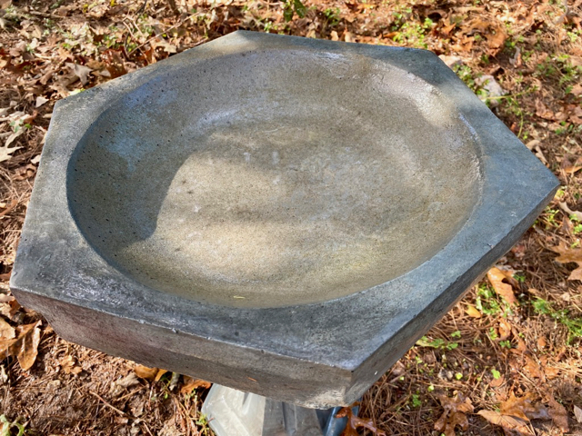 Empty birdbath after cleaning, no algae is present