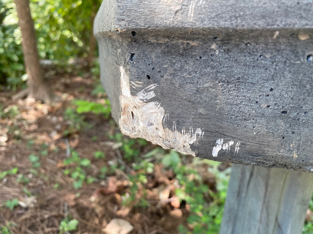 animal teeth scraping damage to concrete birdbath