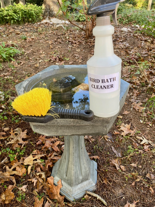 clean birdbath filled with water, also shows brush and bottle of cleaner