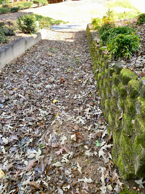 underground drain pipe runs from patio to streetl