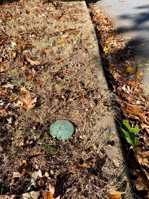 Popup drain at street will release rainwater into storm drain