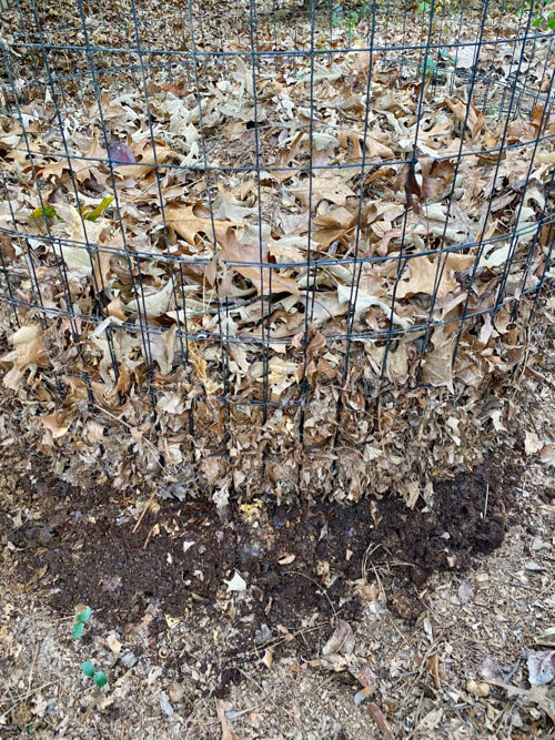 fall leaves in wire compost bin decomposing 