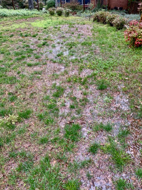 standing water in yard with patches of grass