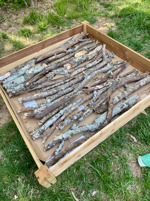 branches and sticks as first layer of raised bed