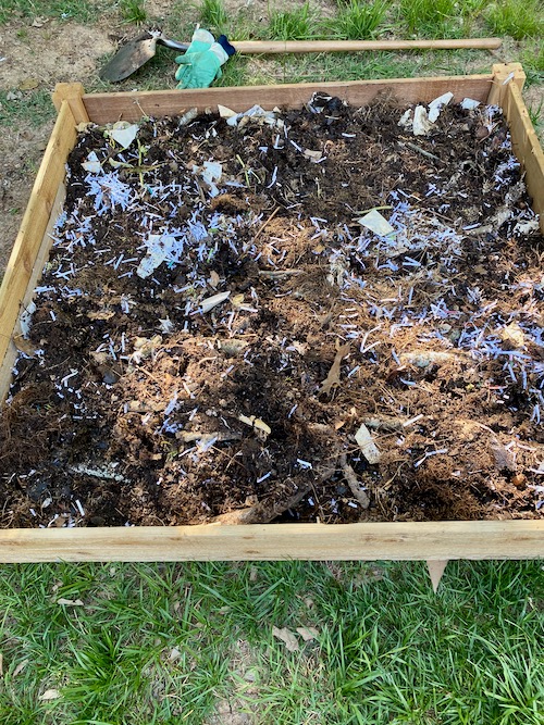 Fully decomposed compost added to raised bed