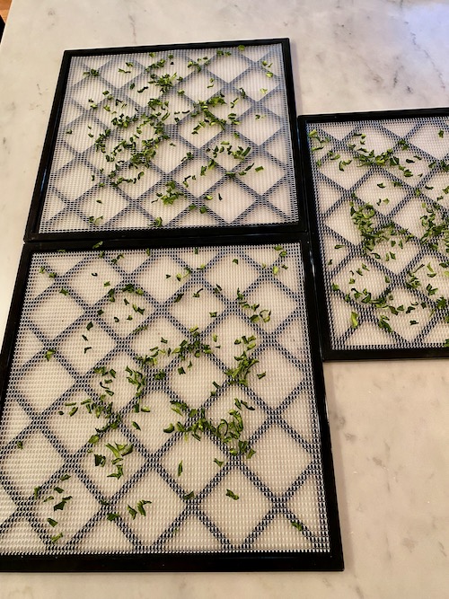 very small pieces of dried green pepper on drying trays
