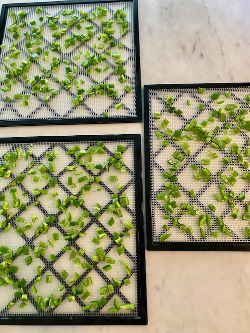small pieces of green pepper laid out on drying trays before dehydrating