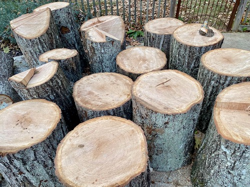 Sections of tree trunk is cut into 3 foot tall pieces and placed in driveway for pickup